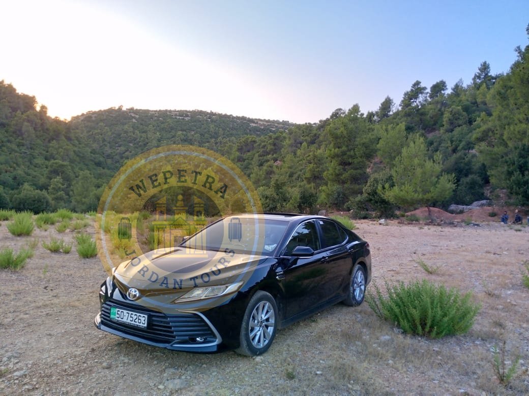 WhatsApp Image 2025-07-26 at 10.24.59 PM